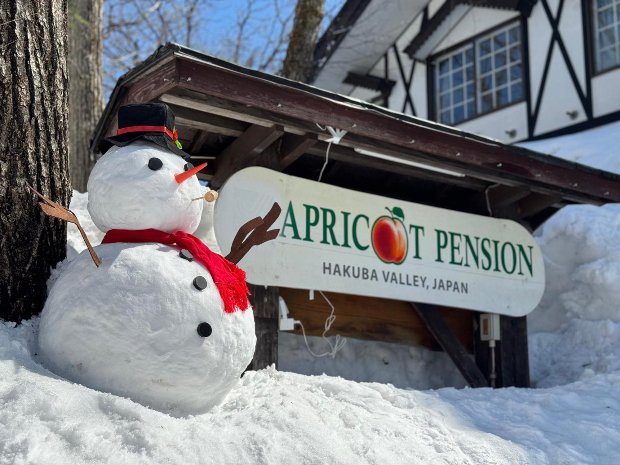 Apricot Pension Hakuba Zewnętrze zdjęcie