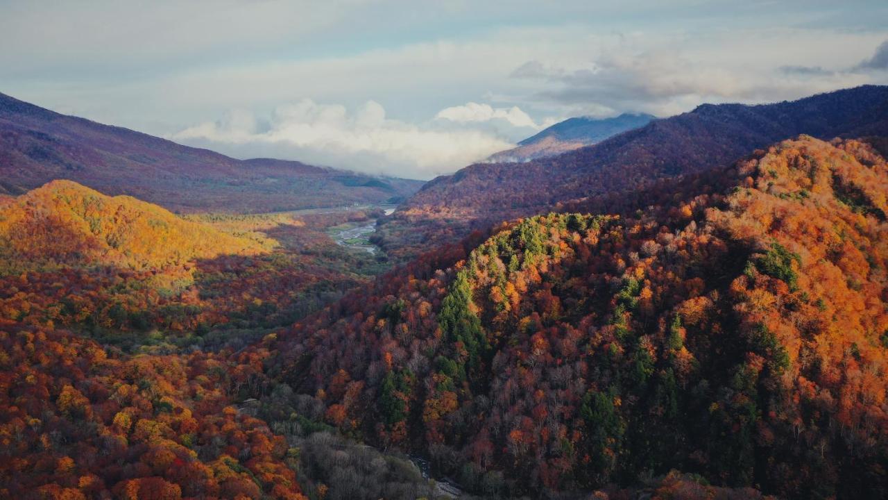 Apricot Pension Hakuba Zewnętrze zdjęcie