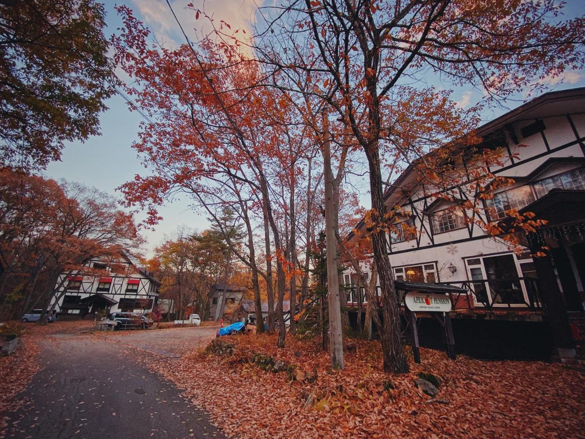 Apricot Pension Hakuba Zewnętrze zdjęcie