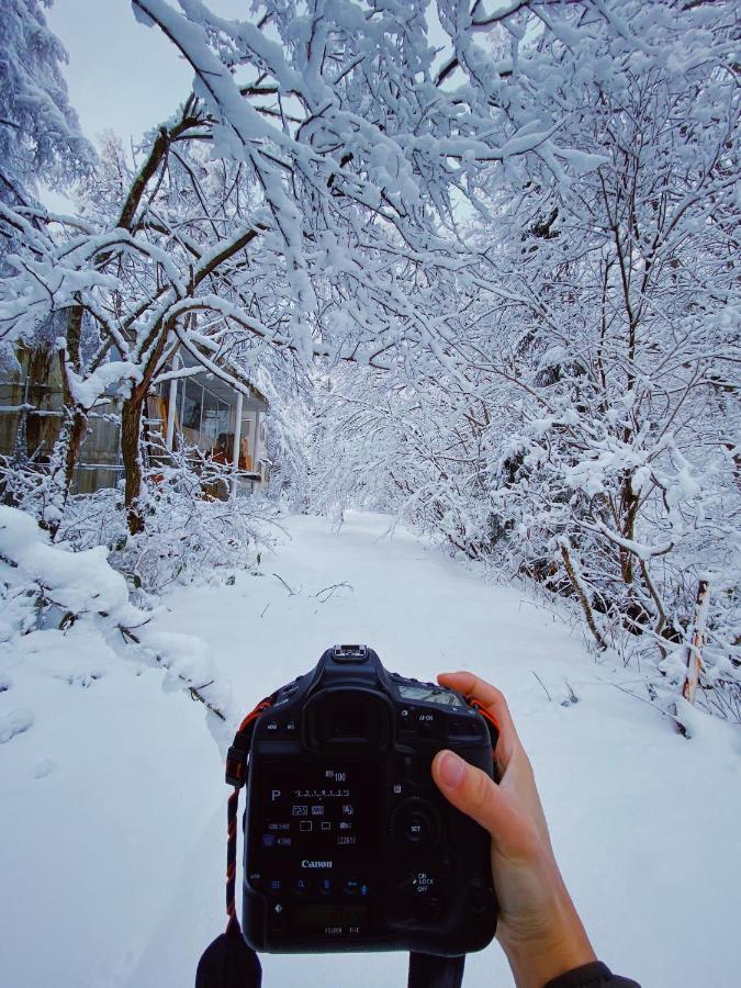 Apricot Pension Hakuba Zewnętrze zdjęcie